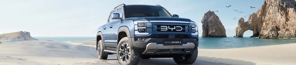 HEADER_SHARK_6