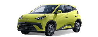 BYD DOLPHIN SURF